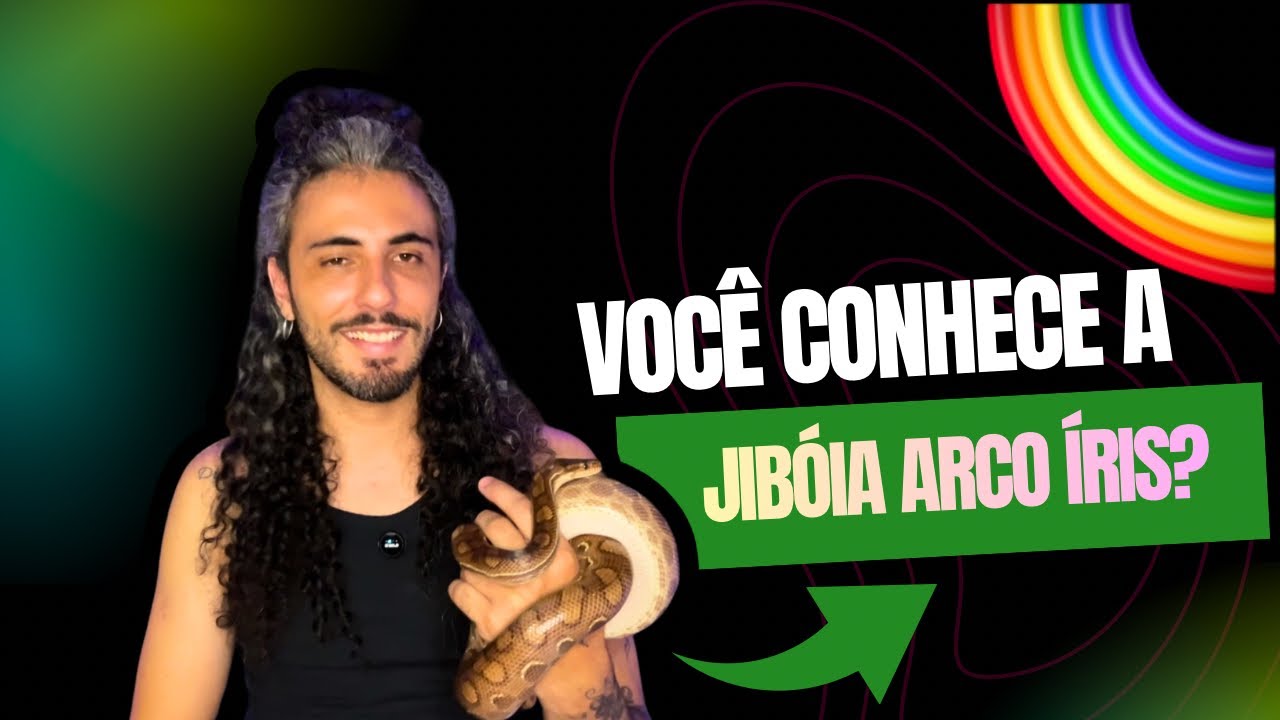 Jibóia Arco-íris: Um Pet sensacional 