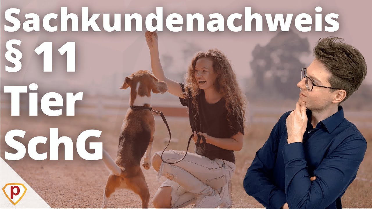 § 11 Tierschutzgesetz Sachkundenachweis | Übungsfragen: Der Hund und sein Verhalten | Plakos