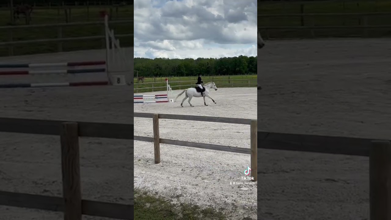 First CSO on a rope with my Baile 🩷 #horse #pony #horse #riding #bailefanach