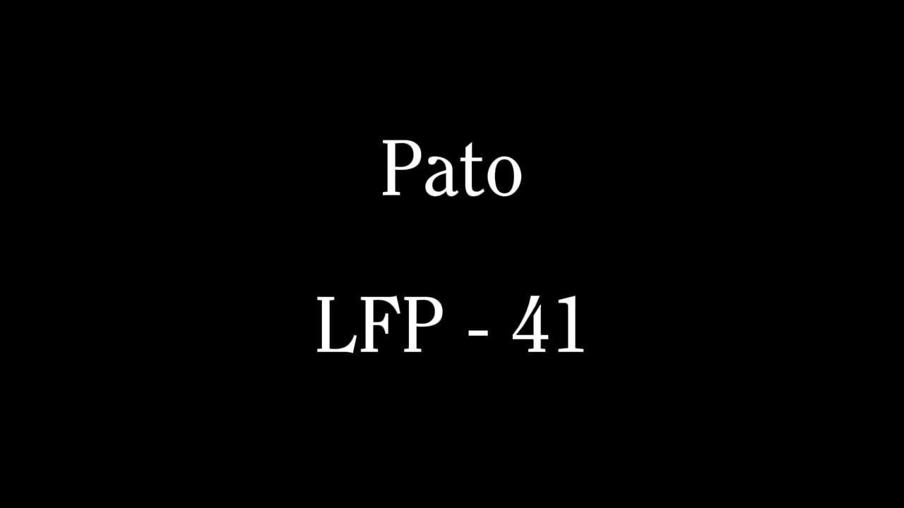 Pato - LFP 41