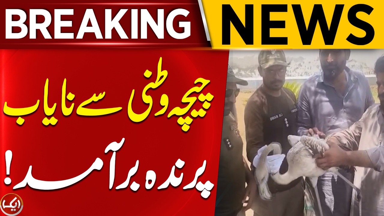 Breaking News | Rare and Unusual Bird Recovered in Chichawatni | Aik News