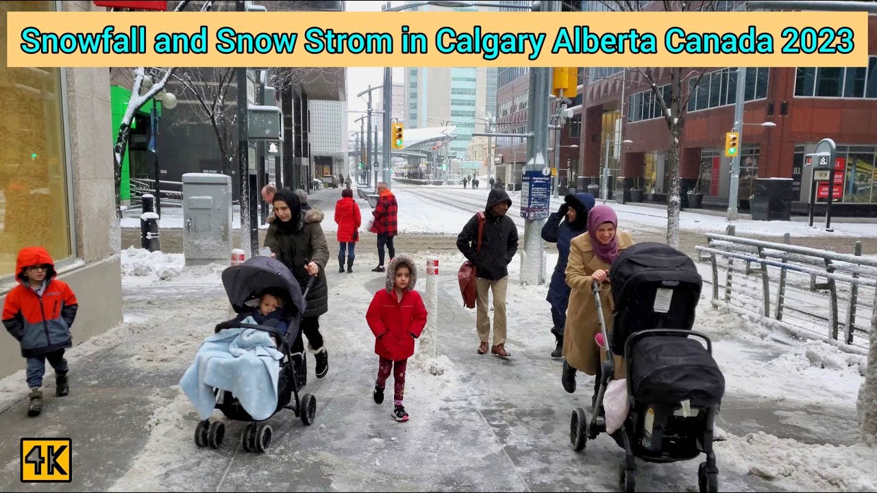 Snowfall and Snow Storm In Calgary Alberta Canada on January 2023 #calgary #alberta #canada