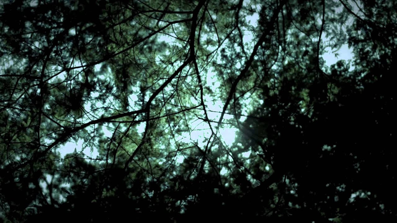 Converge - 