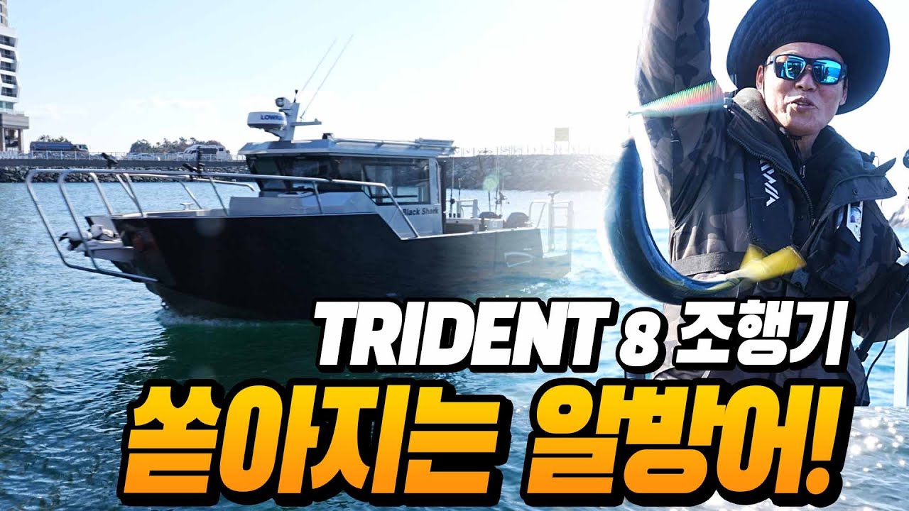 알방어가 쏟아지는 여수 핫! 포인트