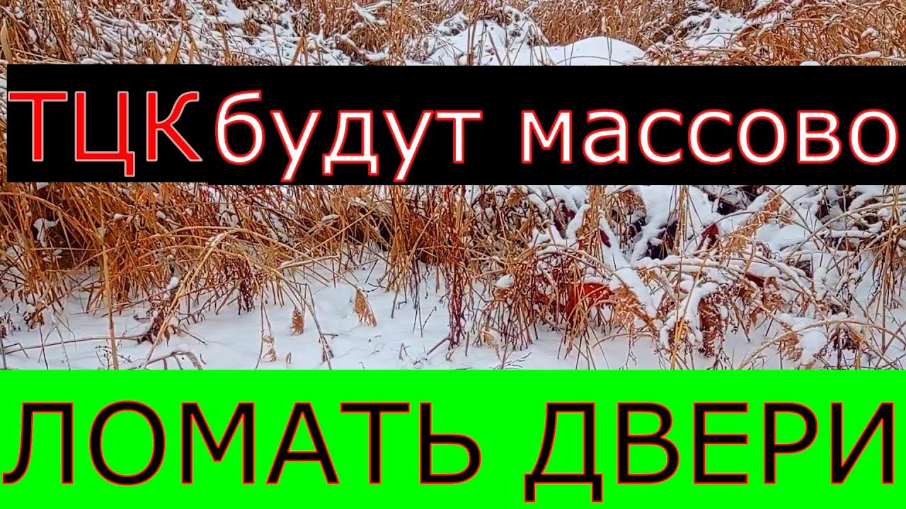 ТЦК РОЗРЕШАТ ЛОМАТЬ ДВЕРИ!! И ВЫНОСИТЬ УХИЛЯНТОВ