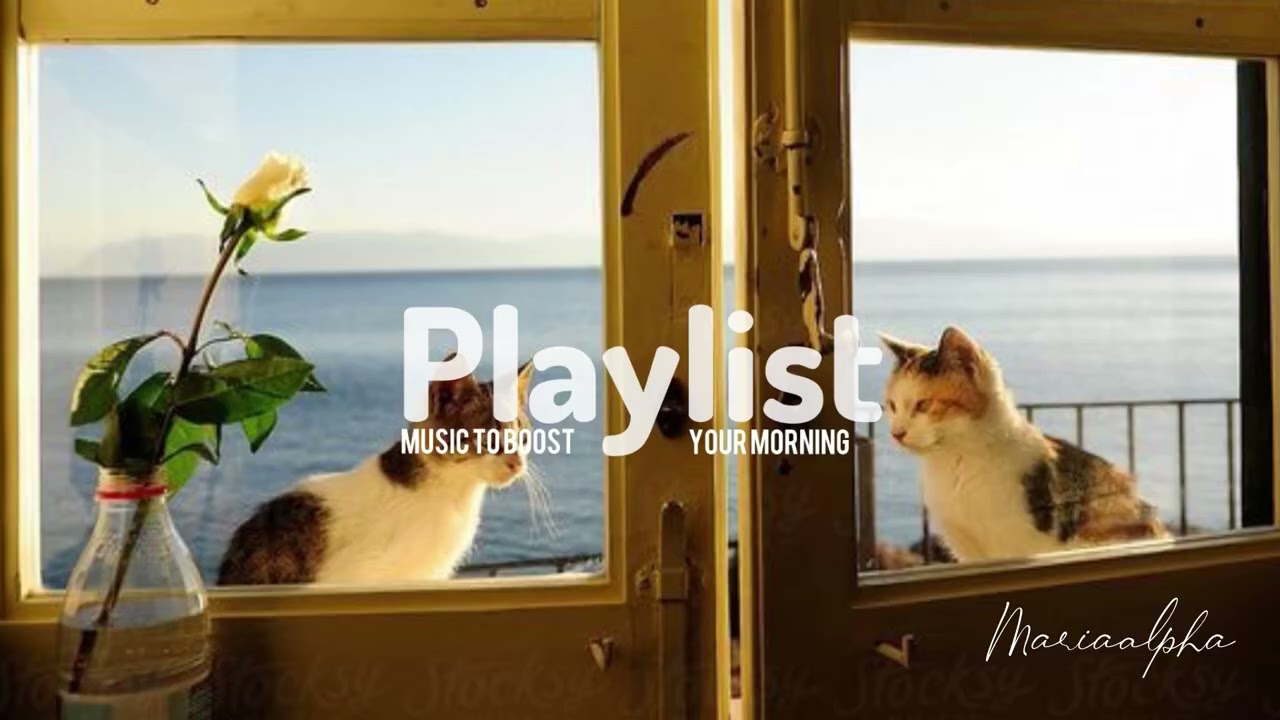 Cozy Morning Playlist 🎧 | Hope you enjoy!