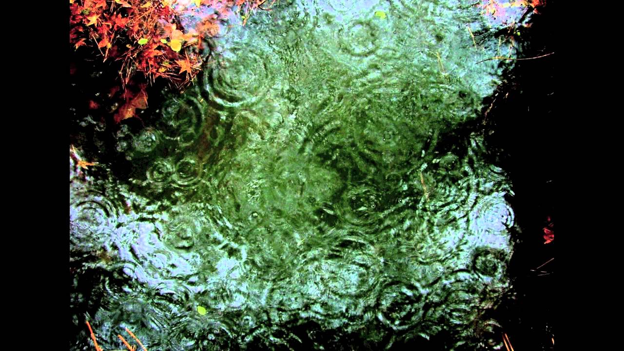 will miles - summer rain