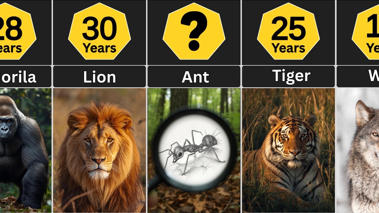 How Long Do These Animals Live? Shocking Lifespan Differences