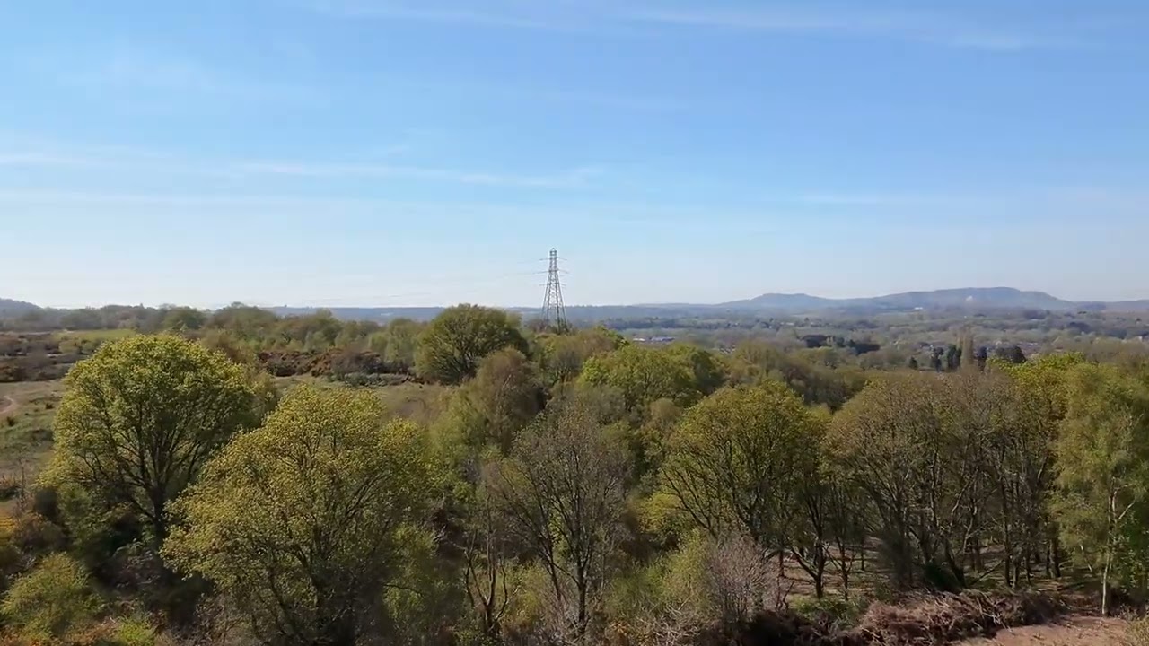 Hartlebury common (Worcestershire) through the lens of a DII Neo.