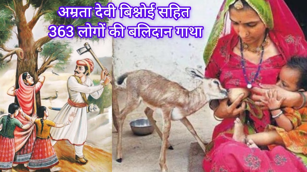 अमृता देवी बिश्नोई 😱 #amritadevi #history #facts #bishnoi #news #trending #viral #rajasthan #shaheed