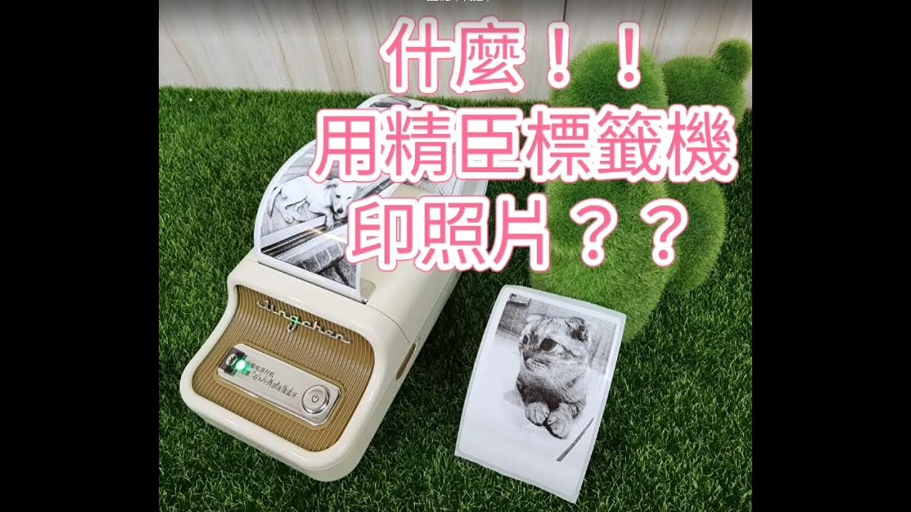 用精臣標籤機B21/B21S印照片？？？來測試臣小印app最新功能喔