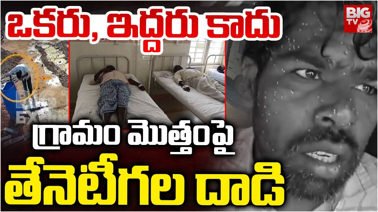 Honey bees Attack On Village At Sangareddy : గ్రామం మొత్తం పై తేనెటీగల దాడి | BIGTV Medak