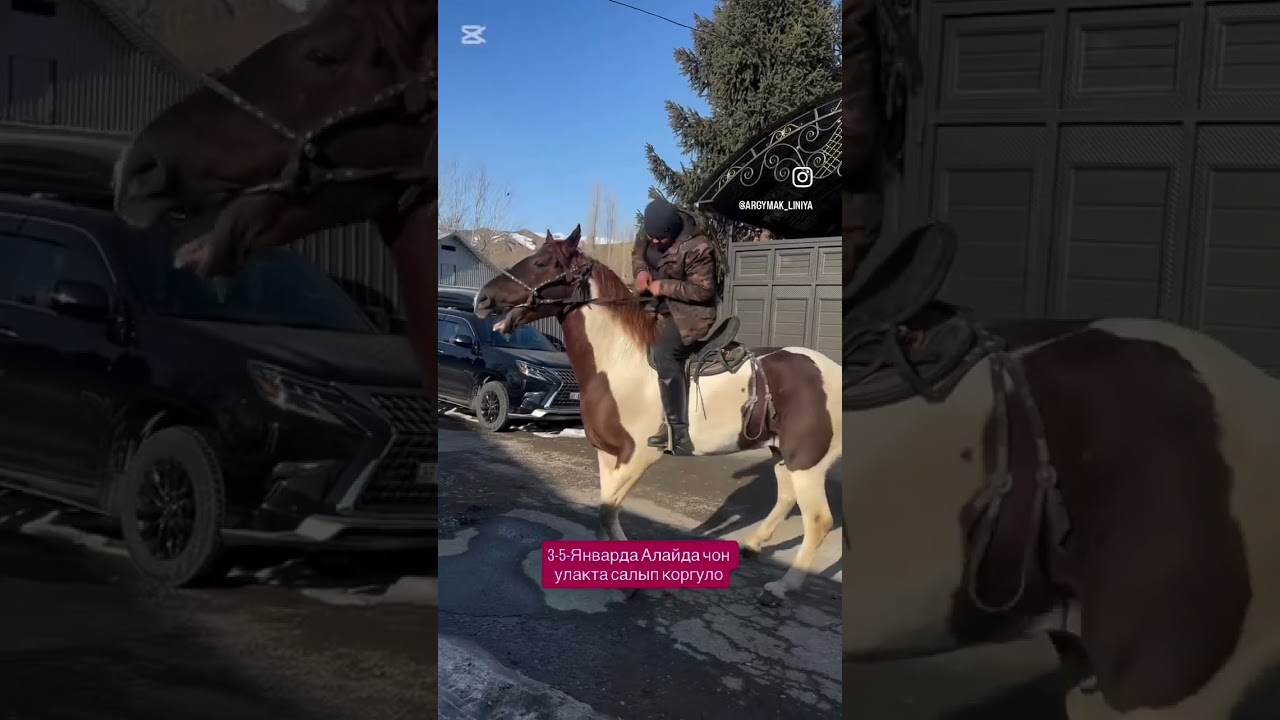 Любой улака салып коруп аласыздар              ☎️+996 755 110 996
