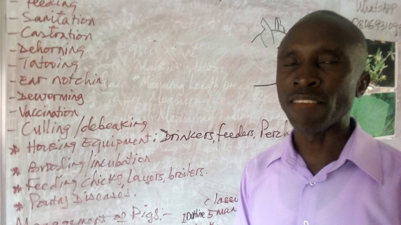 ANIMAL HUSBANDRY  SS1 LESSON 4