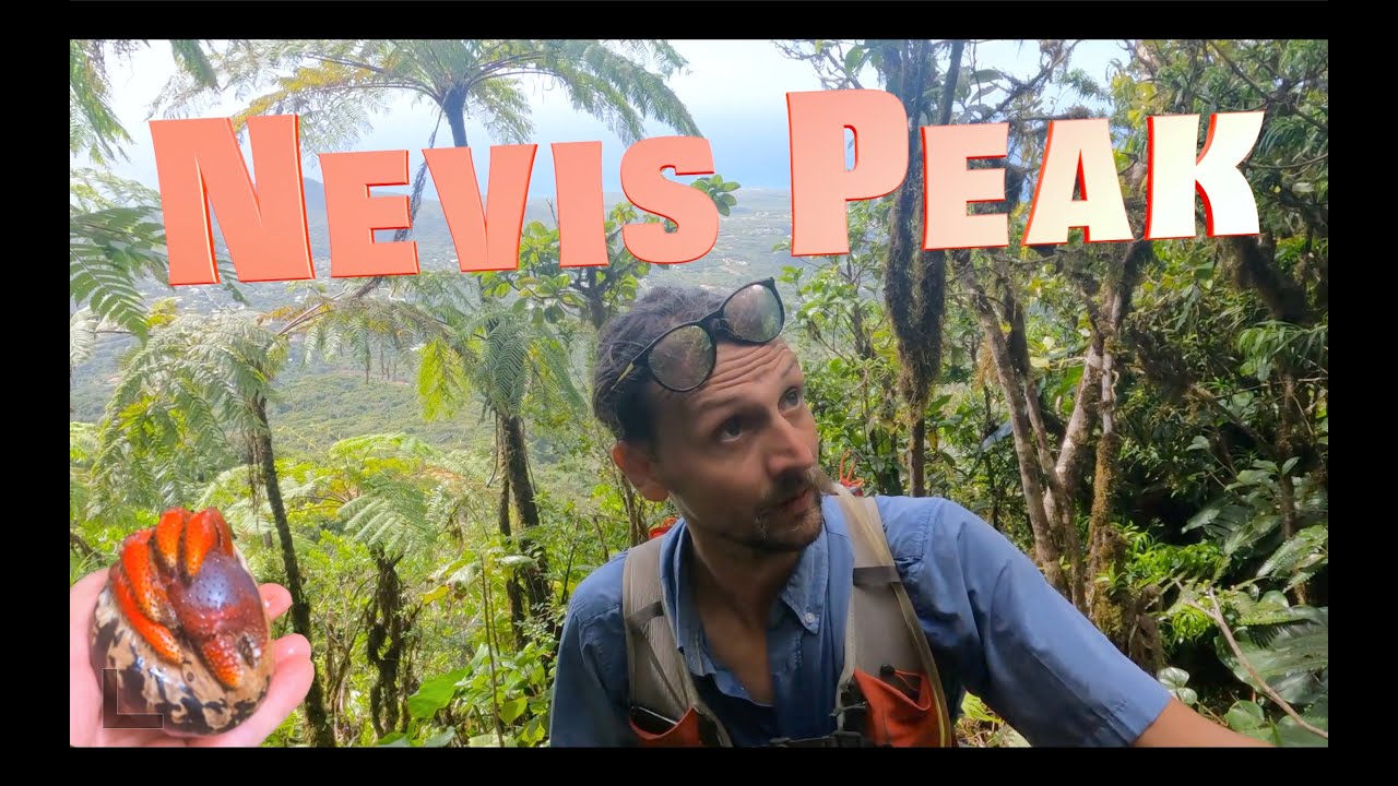 Nevis Peak Volcano Queen of the Caribbean Islands hiking guide