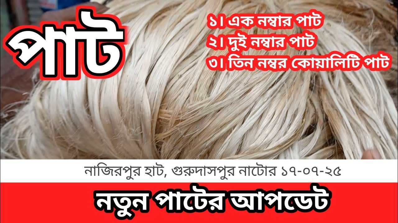 🔥 আজকের নতুন পাটের বাজার দর ১৭-০৭-২৫ | নাজিরপুর বাজার পাট আপডেট | Gurudaspur Natore Jute Market