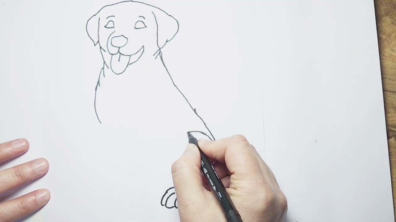 Let’s draw a dog