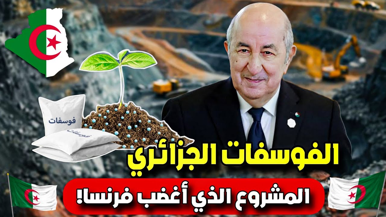  ✅ الفوسفات الجزائري… الذهب الأبيض الذي سيغير قواعد التعدين! 🇩🇿🔥