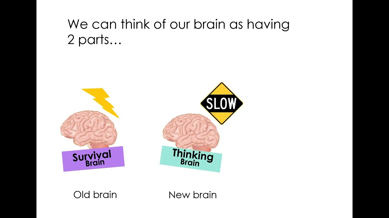 Compassion Focused Therapy - Our tricky brains