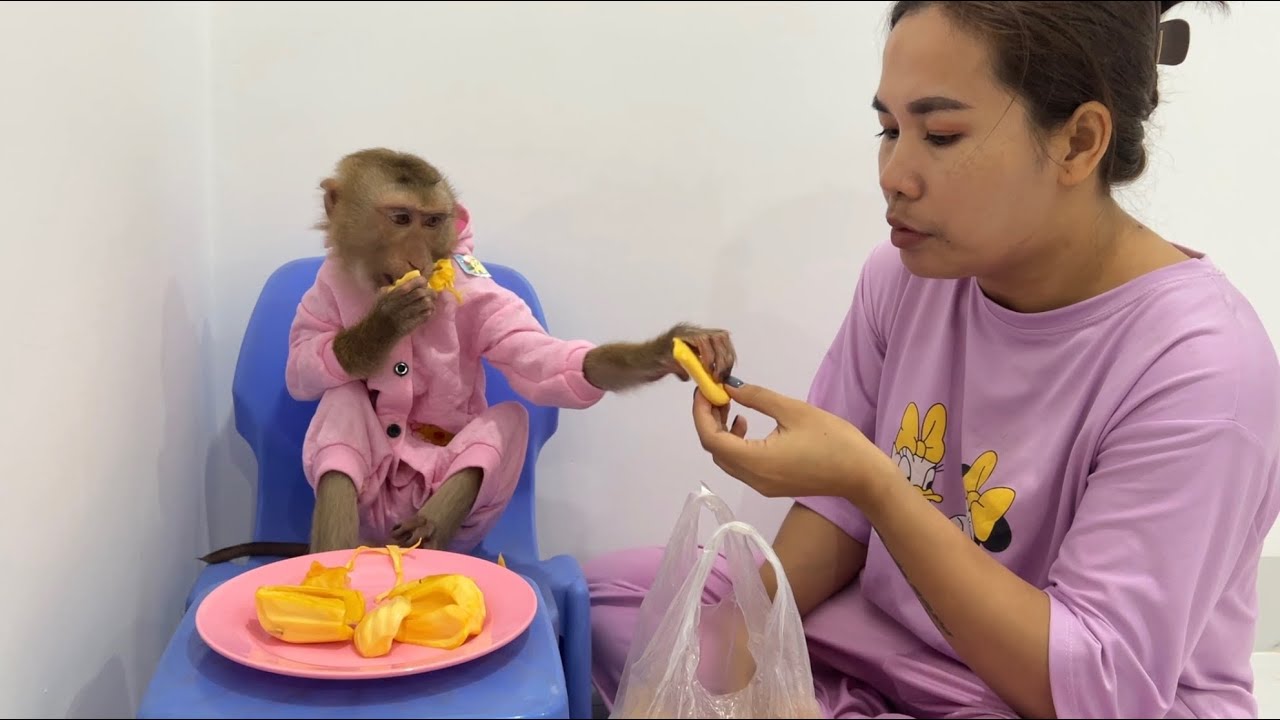 Hahaha.. Does sweet daughter Jessi share mommy a piece of jackfruit?