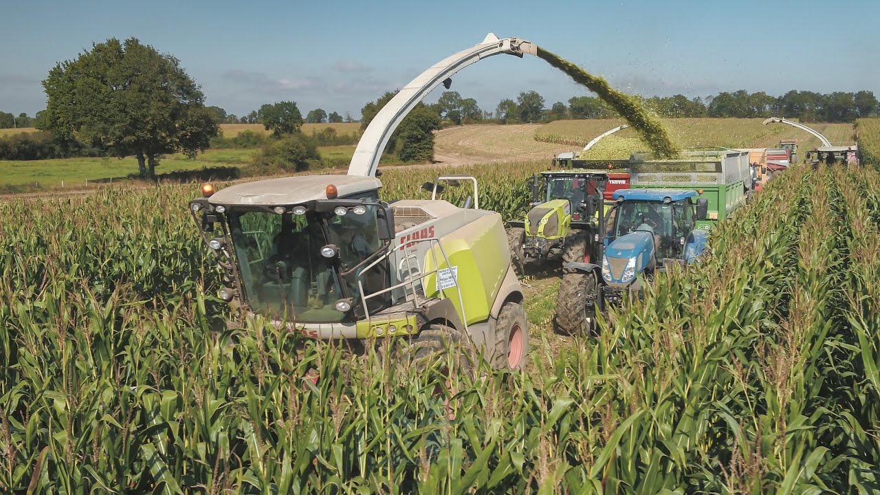 BIG SILAGE 🇫🇷 3x CLAAS JAGUAR -  2021 🌽