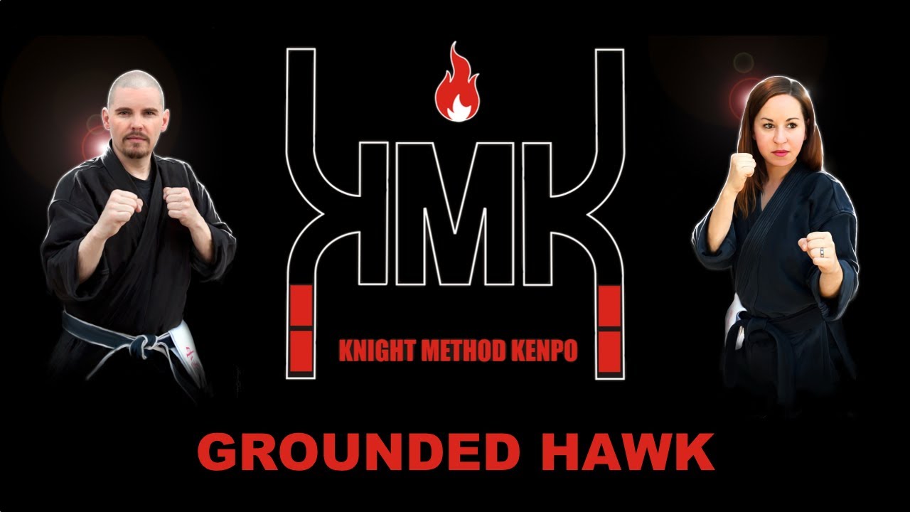 Grounded Hawk