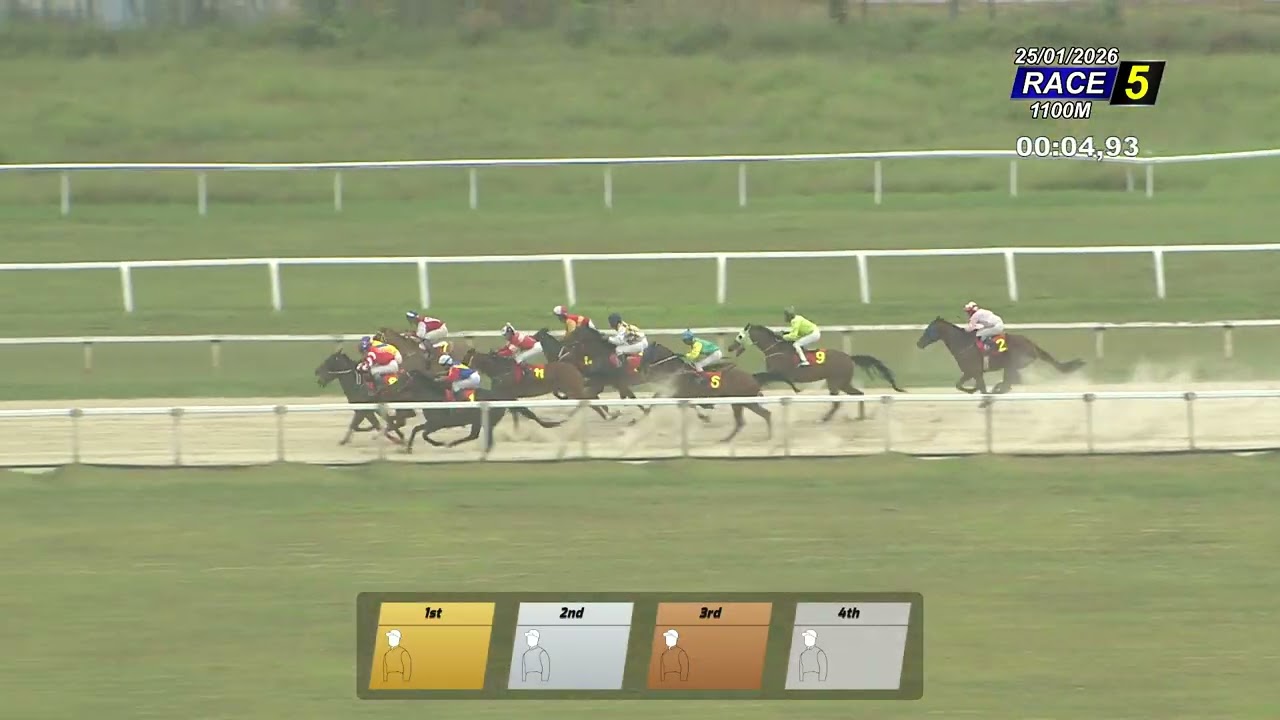 250126 Race 5 Class 4 1100M