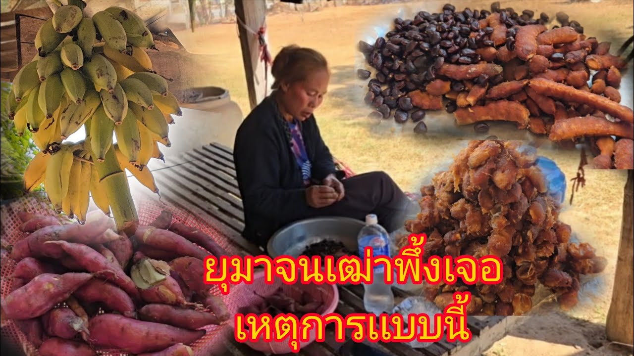 #เหตุการเเรกที่ได้เห็นได้ยินยุมาอายุจะ40เจ้ดำก็อายุ50กว่าเเล้วเเกะบักขามเอาในออกเก็บเข้าตู้เย็น