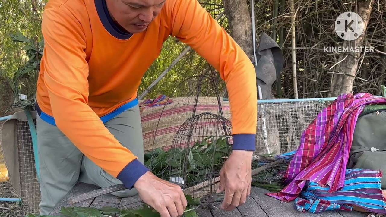 มีพืชชนิดหนึ่งสามารถนำมาพรางเพนียดได้ตลอดทั้งปีและใช้ได้ทนทาน มาชมกันครับ @คําสอนสุระมณี 