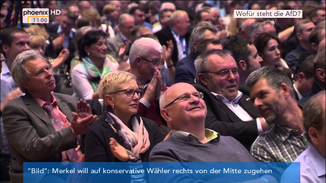 Thema: Wofür steht die AfD? - Werner Patzelt im Studiogespräch am 03.05.2016