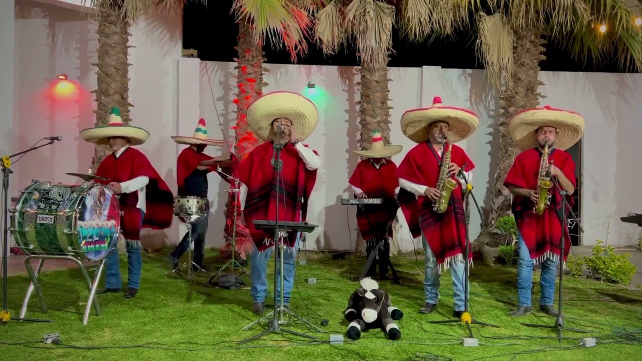 Novillo Despuntado- Tamborazo Show Revolución