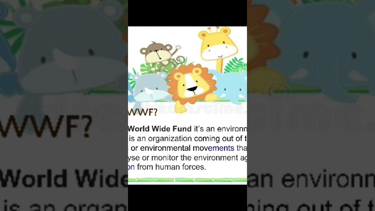 WWF||intelligent brains||World Wide Fund