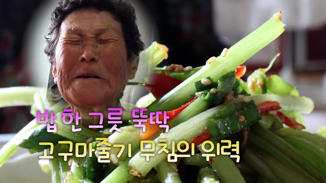 밥 한 그릇 뚝딱… 고구마줄기 무침의 위력 #고구마줄기무침 #집밥 #혼밥 #6시내고향 #쇼츠요리