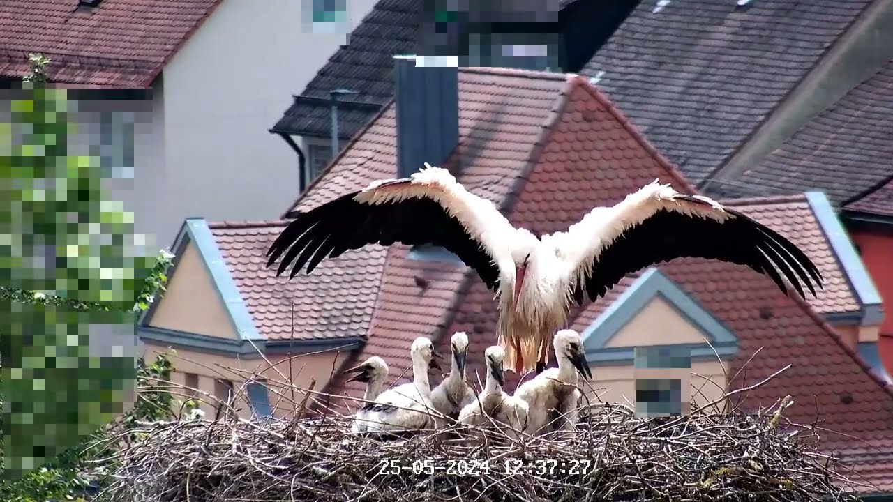 25.05.2024 sind wir groß geworden