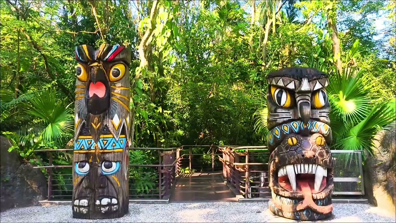 一直在路上/台北木栅動物園'傳說中的仙鳥鳯凰.