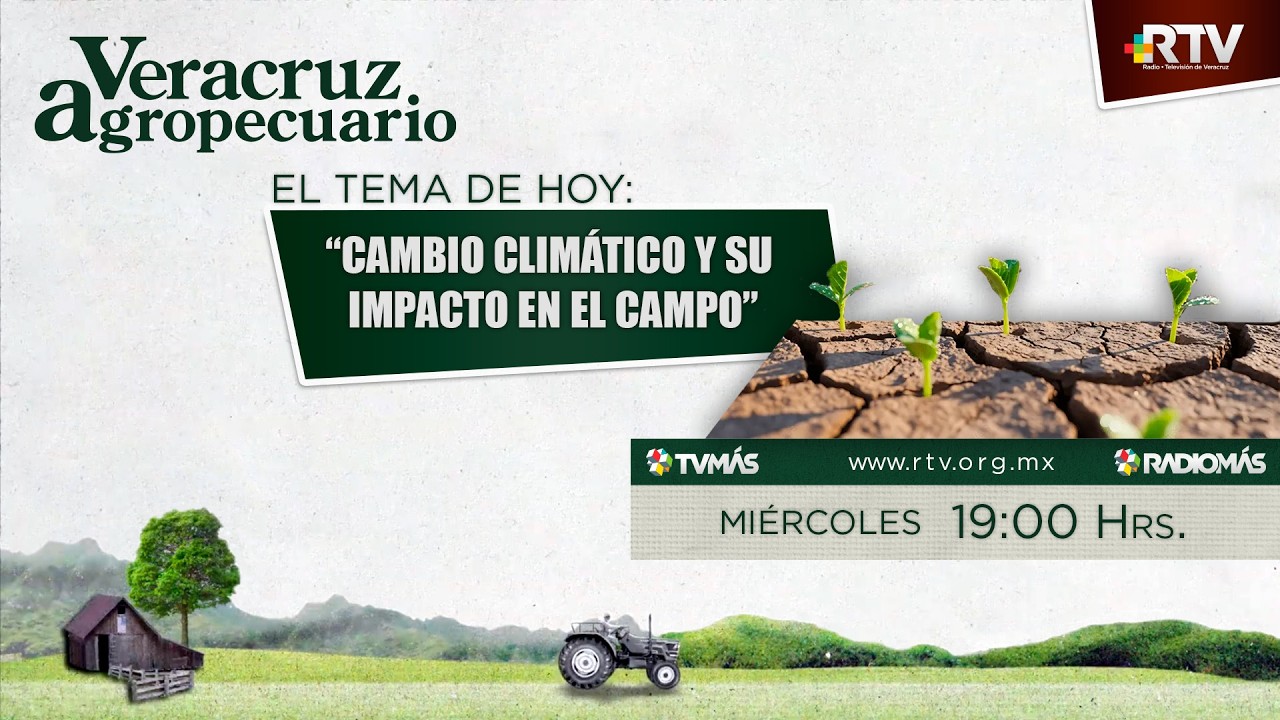 Veracruz Agropecuario 4FEB2026