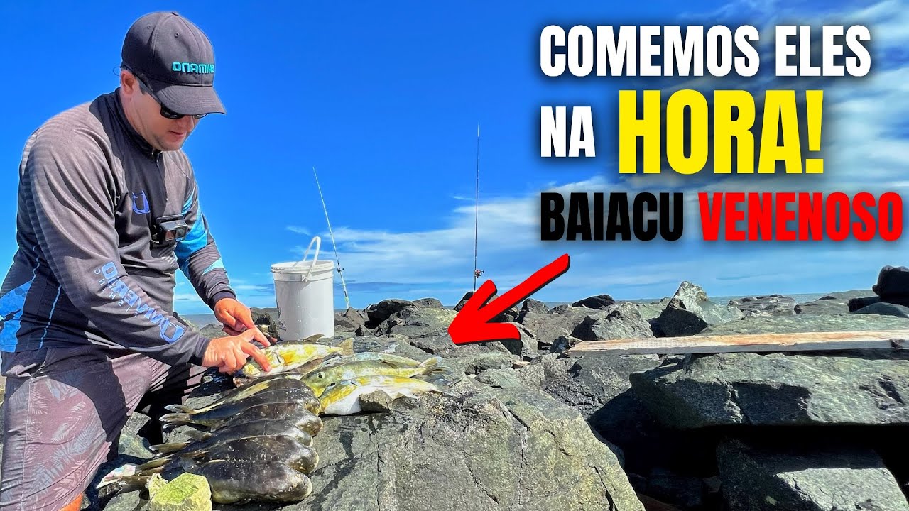 O MELHOR SISTEMA PRA PESCAR BAIACÚ!  Ensinei a limpar e comemos todos na hora - Catch and cook