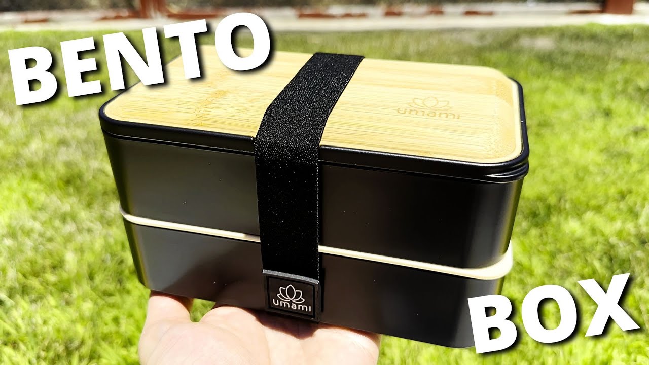Umami Bento Bamboo Lunch Box (Large Size) - Review