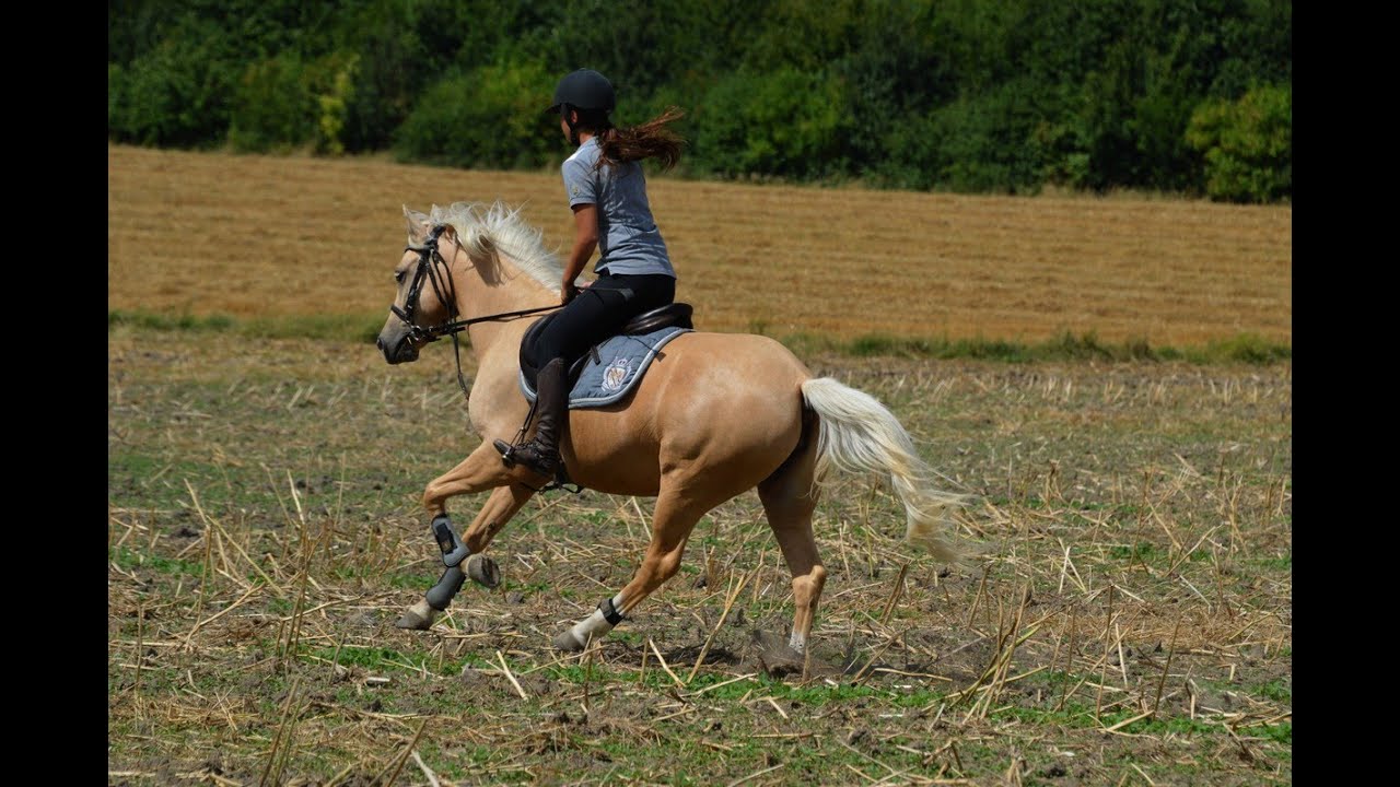 J'ai confiance en toi ♥