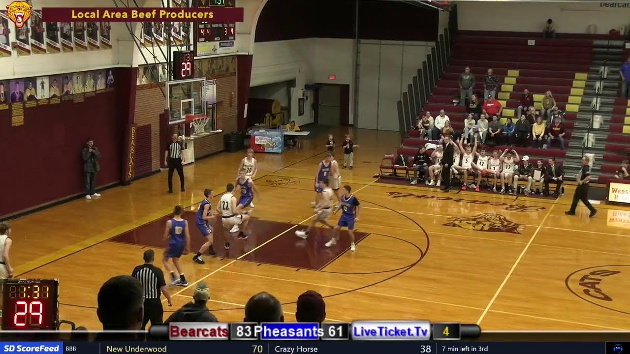 Region 1A Boys Basketball: Webster Area vs Redfield Pheasants