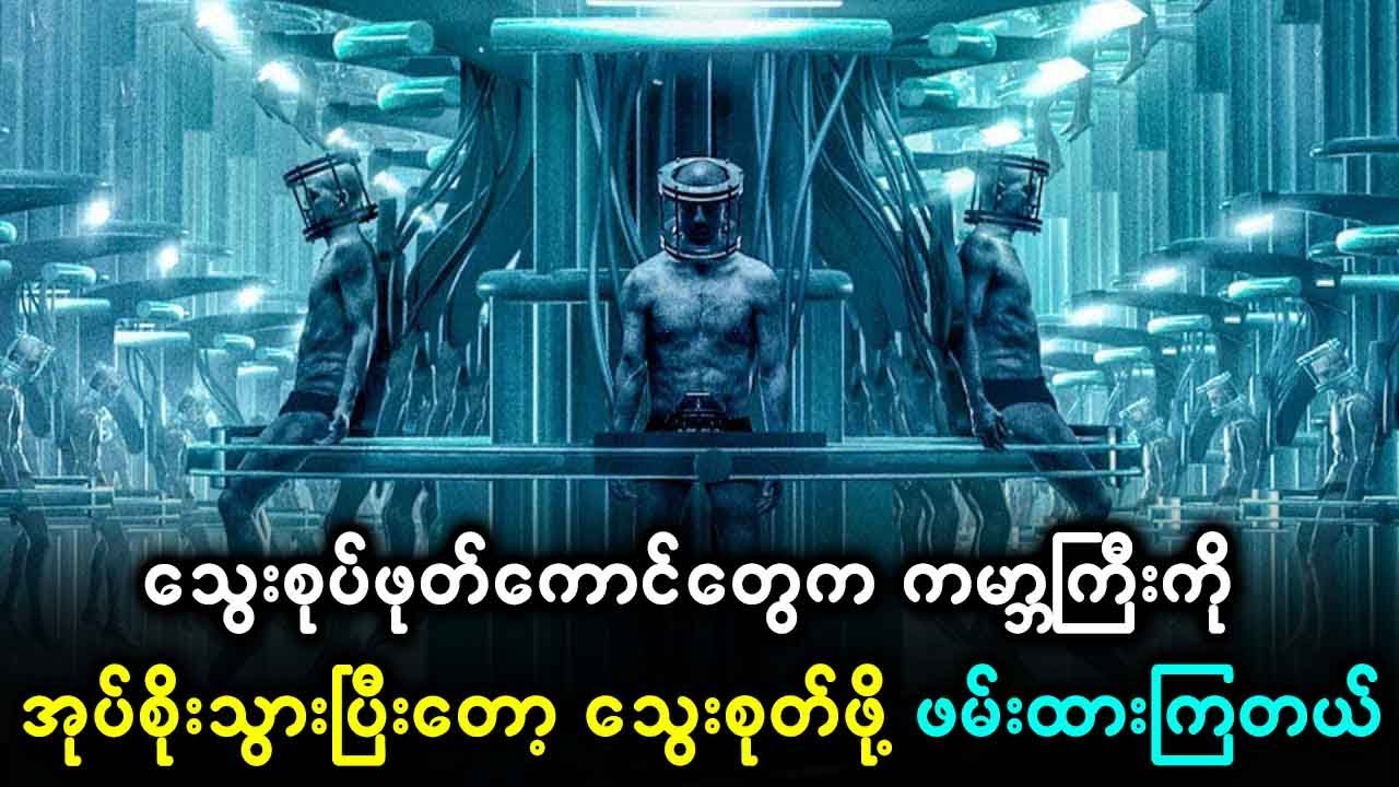 သွေးစုပ်ဖုတ်ကောင်တွေက ကမ္ဘာကြီးကို အုပ်စိုးသွားပြီးတော့ လူတွေကို သွေးခြံကြီးတွေကို ချိတ်ဆွဲထားကြတယ်