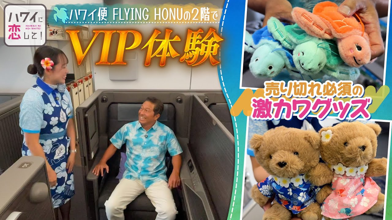 【贅沢体験】ハワイ便「FLYING HONU」でVIP気分を味わう！さらには限定グッズもご紹介！#ana #ca #ハワイ #hawaii