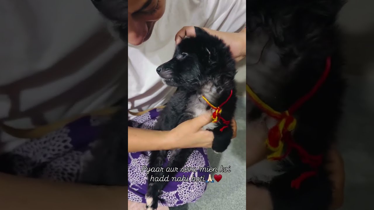 Любовь не знает границ, особенно когда находишь свою Раабту&hearts;️