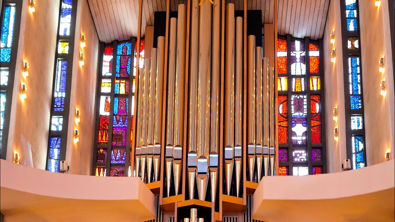 Bach Organ Concert LIVE LIVE ORGAN MUSIC #churchorgan #organm