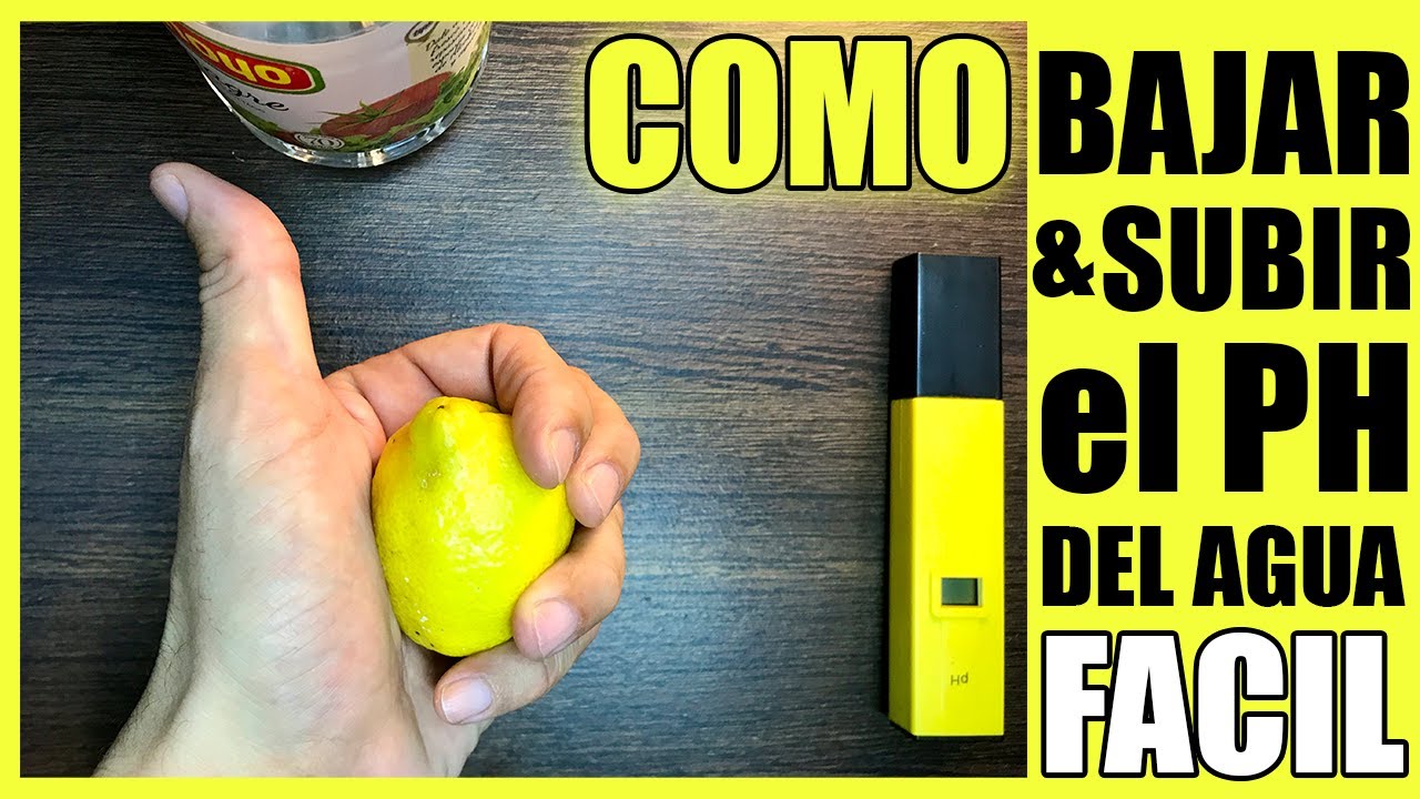 ✅ Como BAJAR o SUBIR el PH del agua de forma NATURAL (100% FACIL y EFECTIVO) ✔️✔️