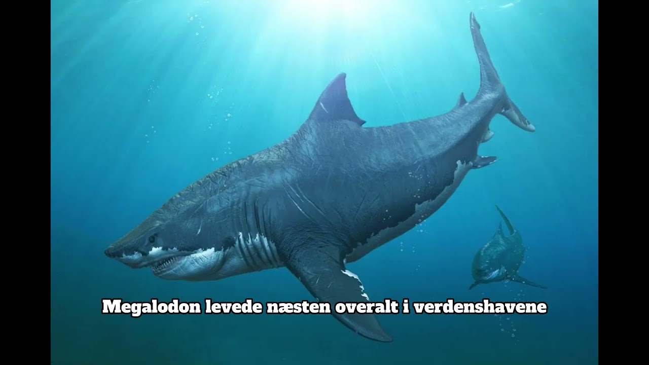 Havets dyb (forhistoriske havdyr)