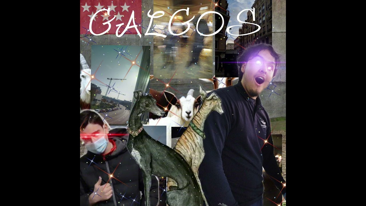 Galgos