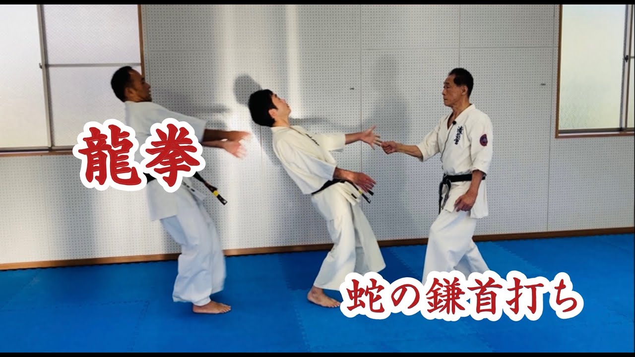 龍拳　Ryuken
