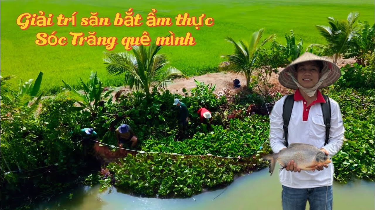 Hành trình đi ốp mé bắt cá và những món ngon dân dã Miền Tây #cuocsongmientay #monngondanda 