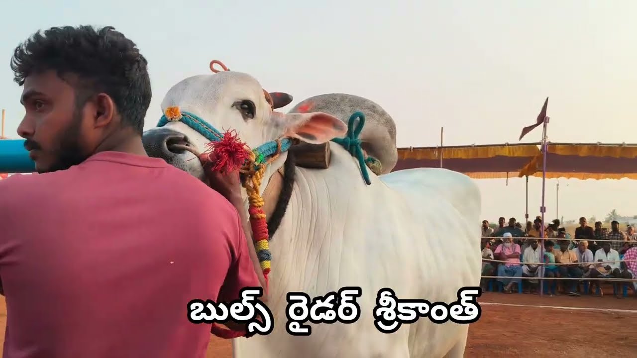 నందికొట్కూరు న్యూ కేటగిరి  విభాగం 💥 Dr గురునాథ్ కోత్తకోట నంద్యాల జిల్లా...